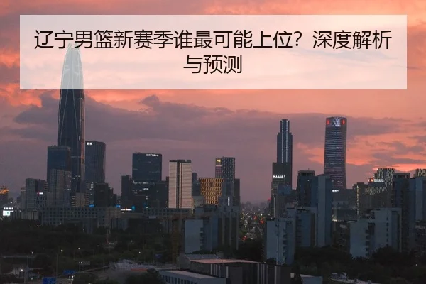辽宁男篮新赛季谁最可能上位？深度解析与预测